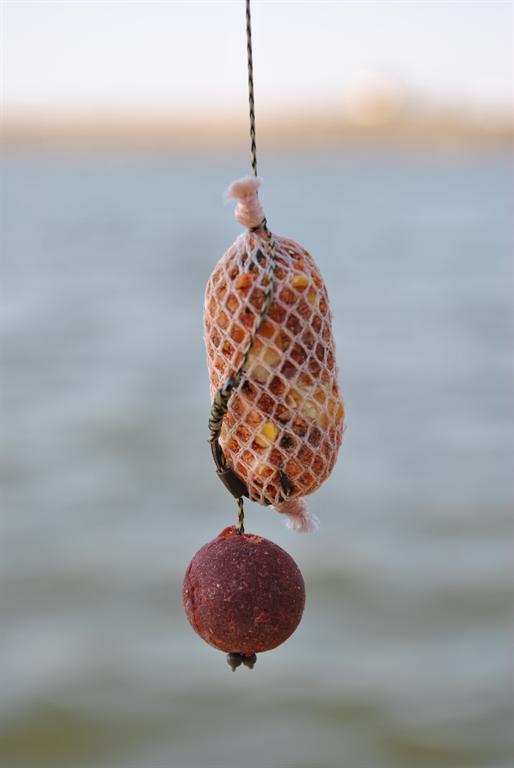 Monturi - 5prindereadirectapva.jpeg